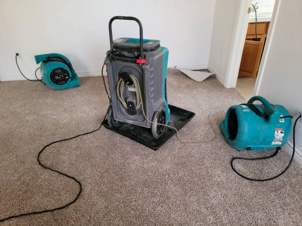 Best Water damage restoration near me  in Fairview, TX