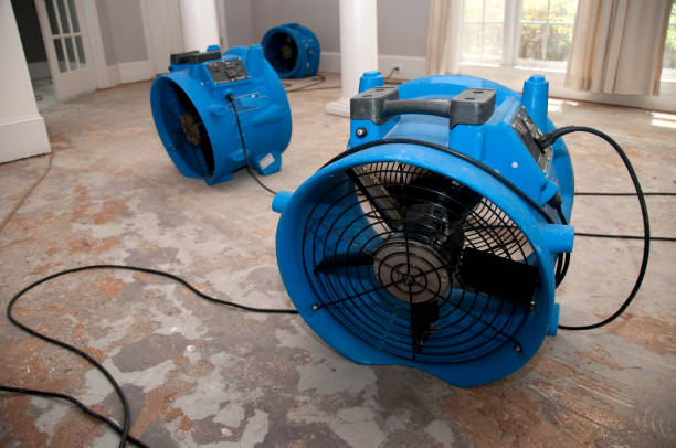 Best Local water damage restoration  in Fairview, TX