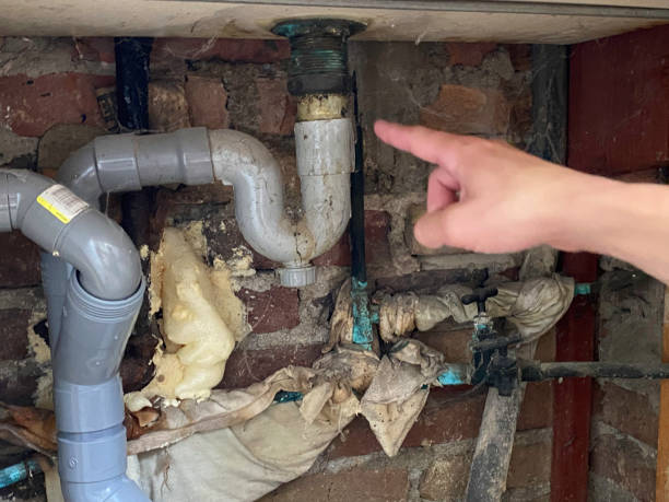 Best Water damage restoration near me  in Fairview, TX